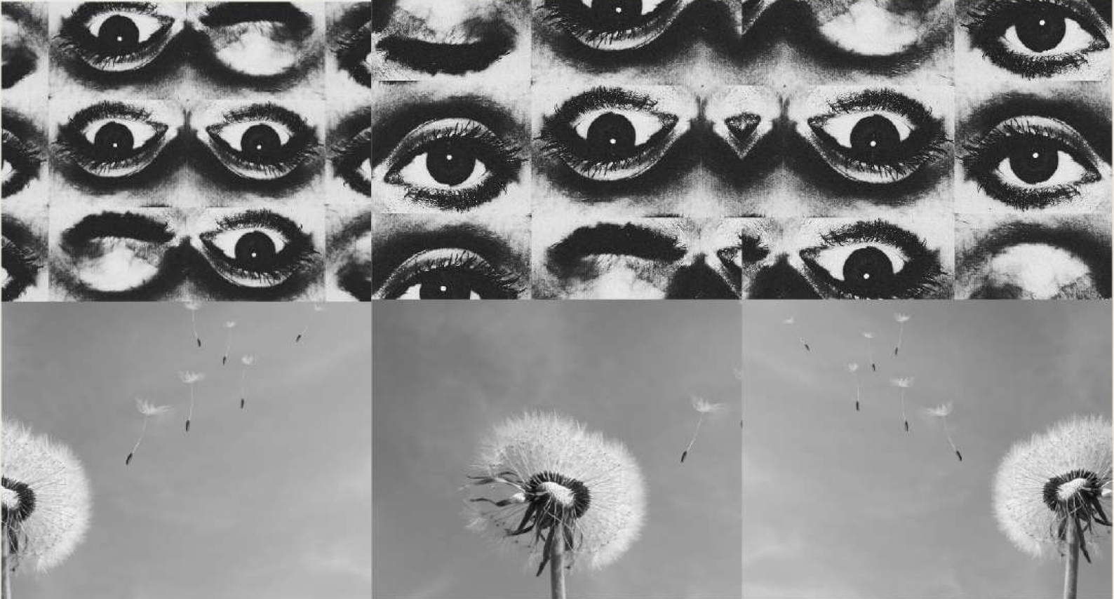 Open lectures by Jean-Michel Rabaté and Patricia Gherovici
